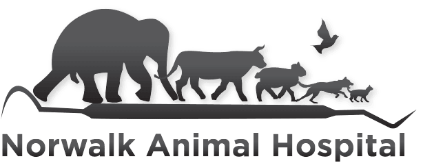 Norwalk Animal Hospital PC